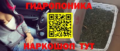 MESCALINE Малгобек