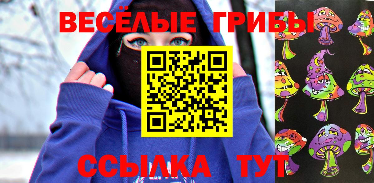 Галлюциногенные грибы Cubensis Домодедово