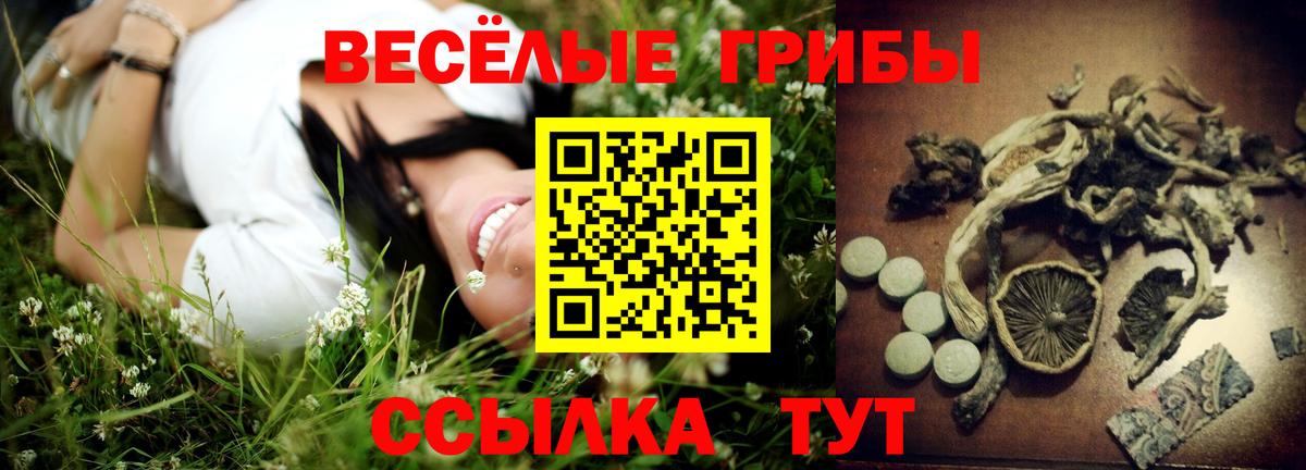 Псилоцибиновые грибы Magic Shrooms  Вход с VPN  Псилоцибиновые грибы прущие грибы  где продают   Домодедово 